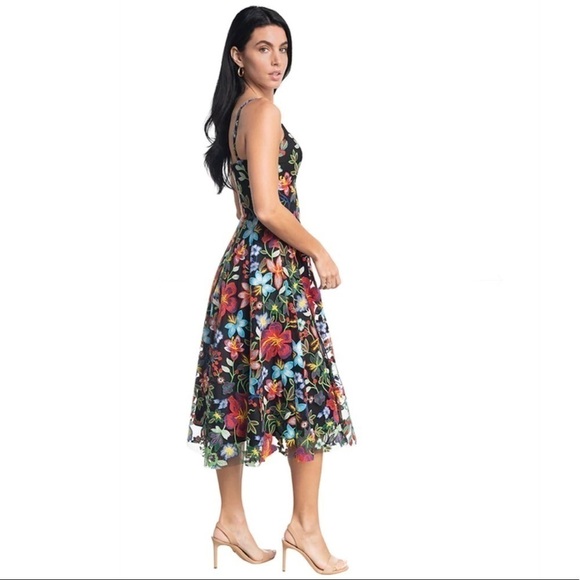 Dress the Population Maren Embroidered Floral Sleeveless Fit & Flare Dress XXS - Picture 2 of 12